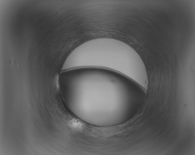 X0000052930041200507080838