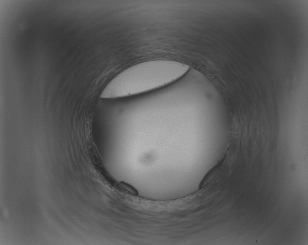 X0000052930043200507080838