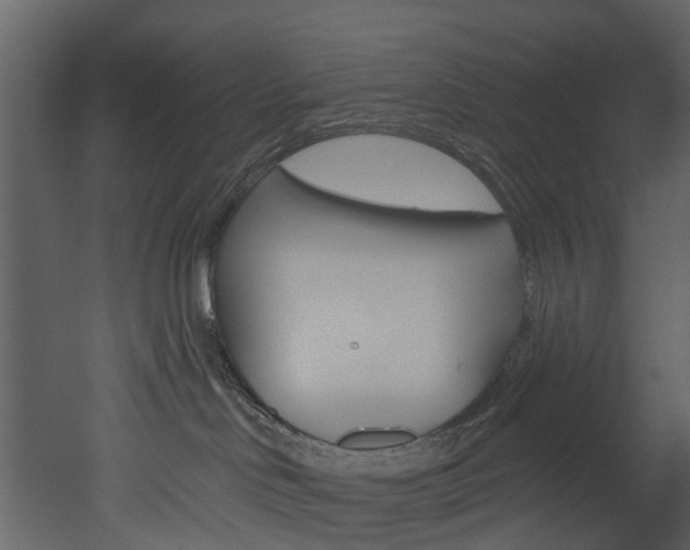 X0000052930046200507080838