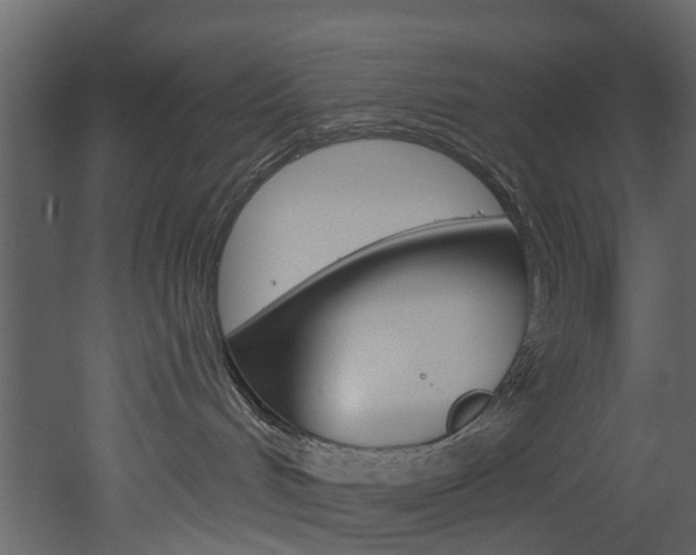 X0000052930048200507080838