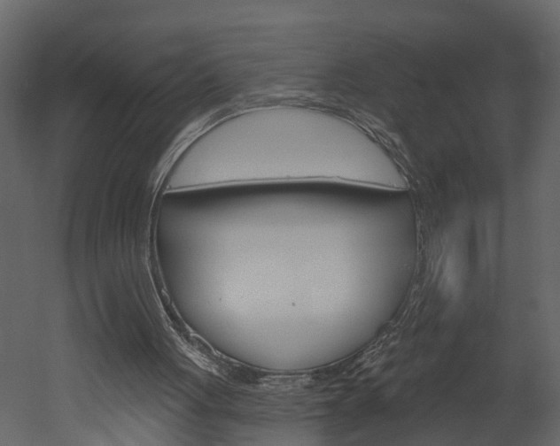 X0000052930051200507080837