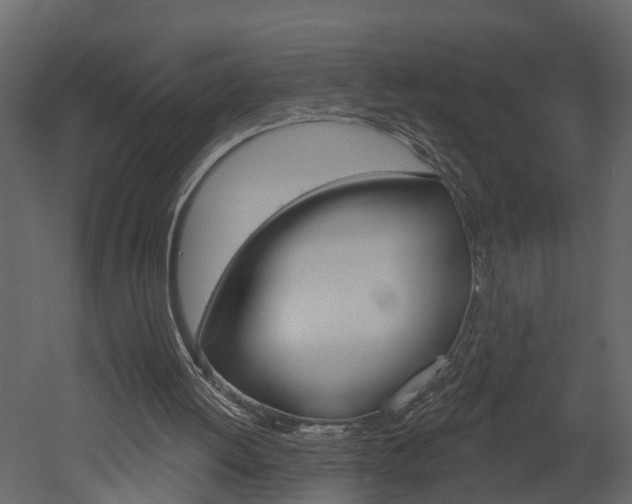 X0000052930052200507080837
