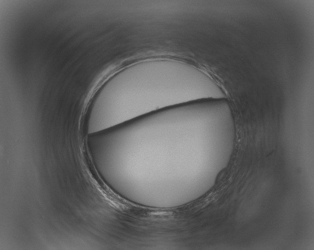 X0000052930053200507080837