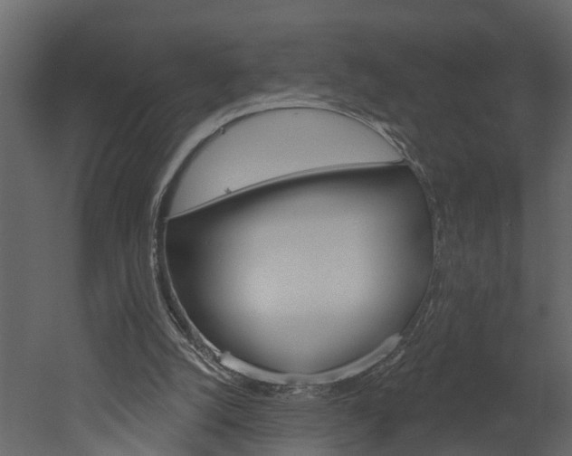 X0000052930056200507080837