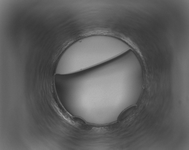 X0000052930057200507080837