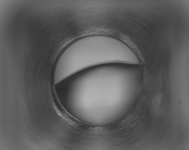 X0000052930058200507080837