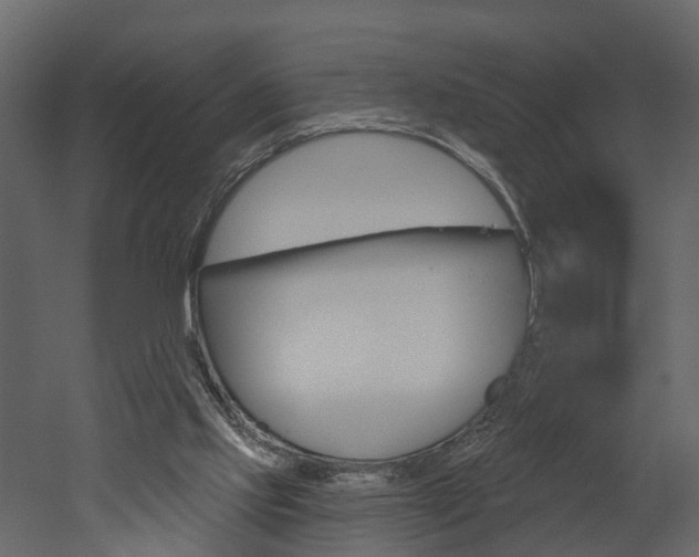 X0000052930061200507080837