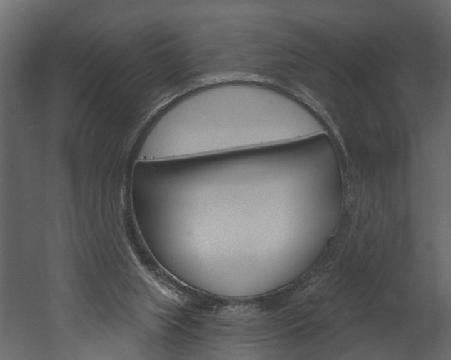 X0000052930063200507080837