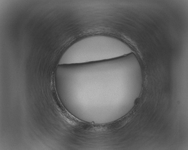 X0000052930065200507080837