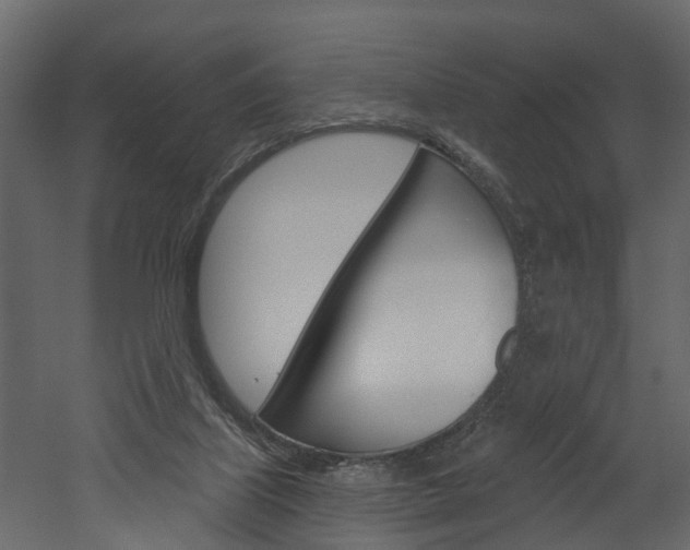 X0000052930067200507080838
