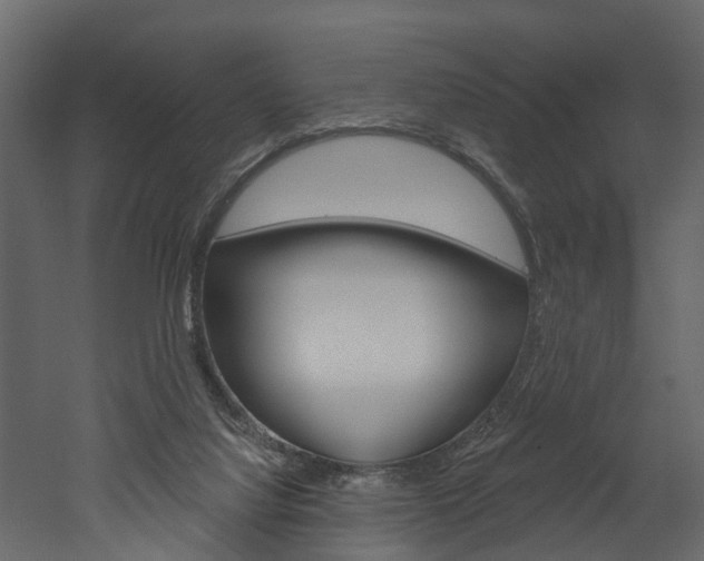 X0000052930068200507080838