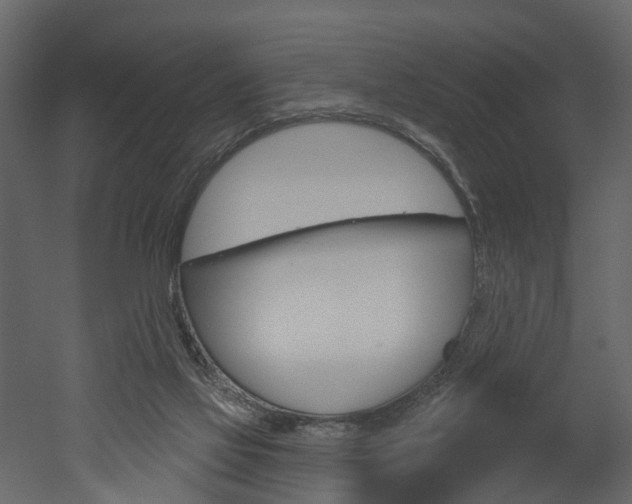 X0000052930069200507080838
