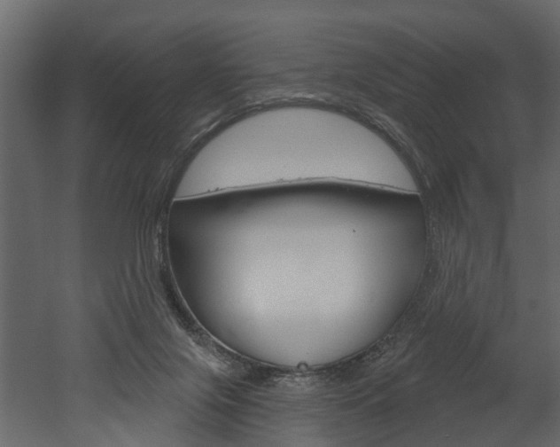 X0000052930071200507080838