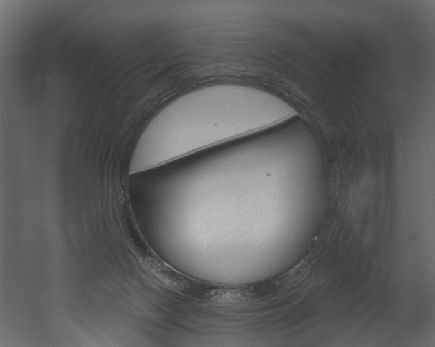 X0000052930074200507080838