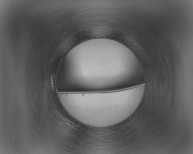 X0000052930075200507080838