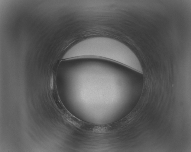 X0000052930076200507080838