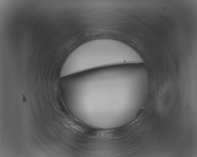 X0000052930078200507080838