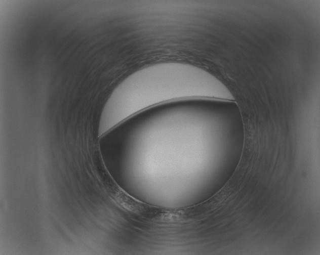 X0000052930080200507080838