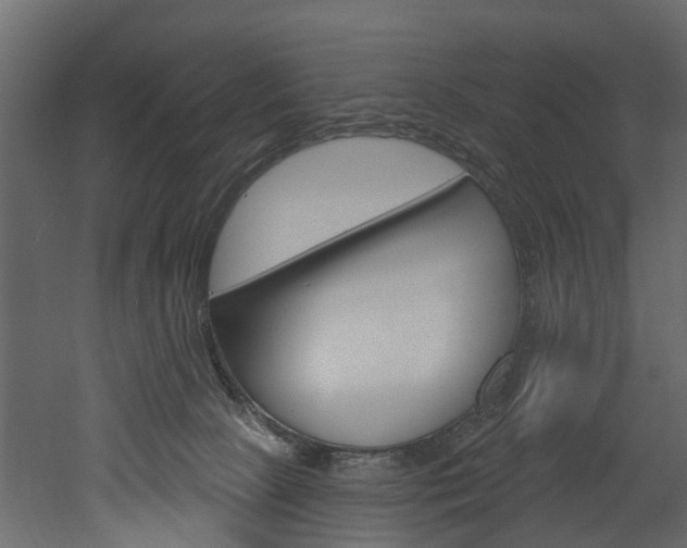 X0000052930081200507080838