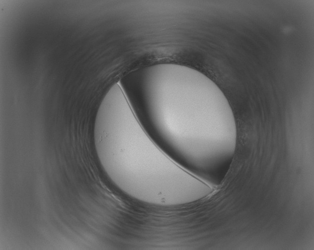 X0000052930082200507080838