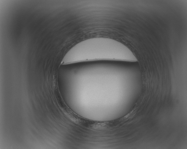 X0000052930086200507080838