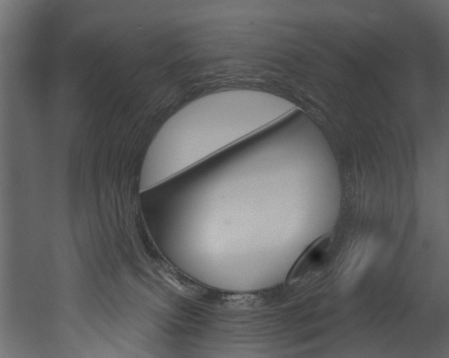 X0000052930087200507080838