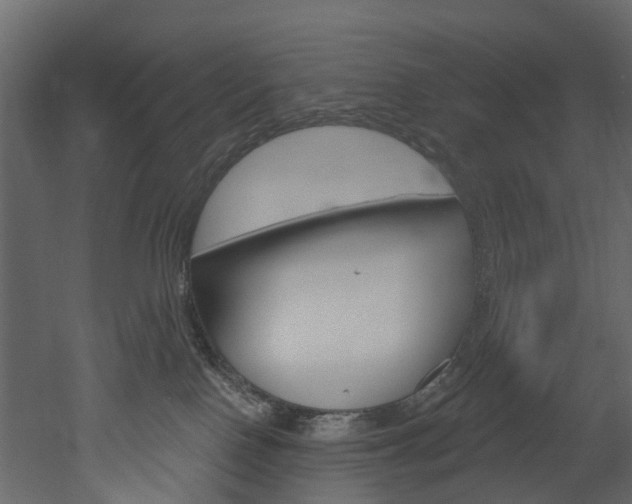 X0000052930090200507080838