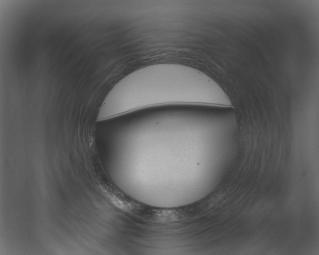 X0000052930091200507080838