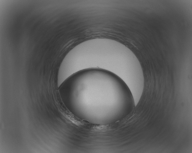 X0000052930092200507080838