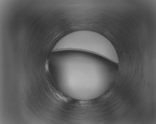 X0000052930095200507080838