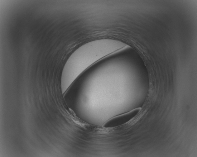 X0000052930096200507080838