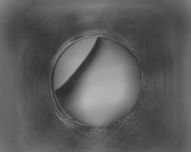 X0000052930099200507080837