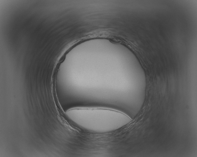 X0000052930100200507080837