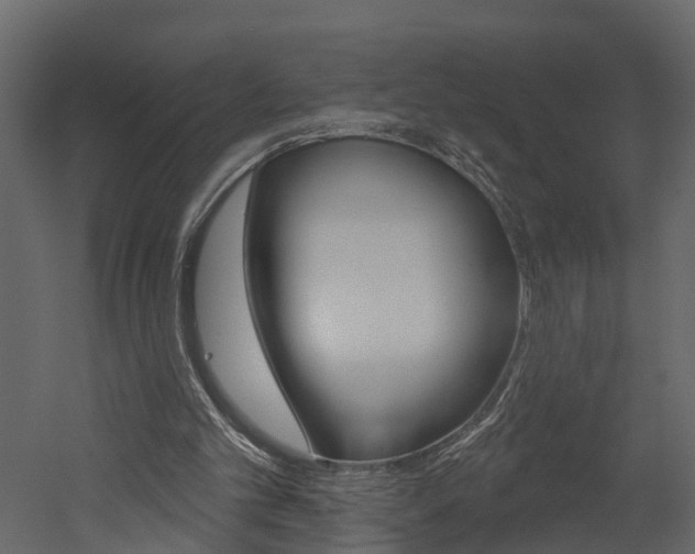 X0000052930101200507080837