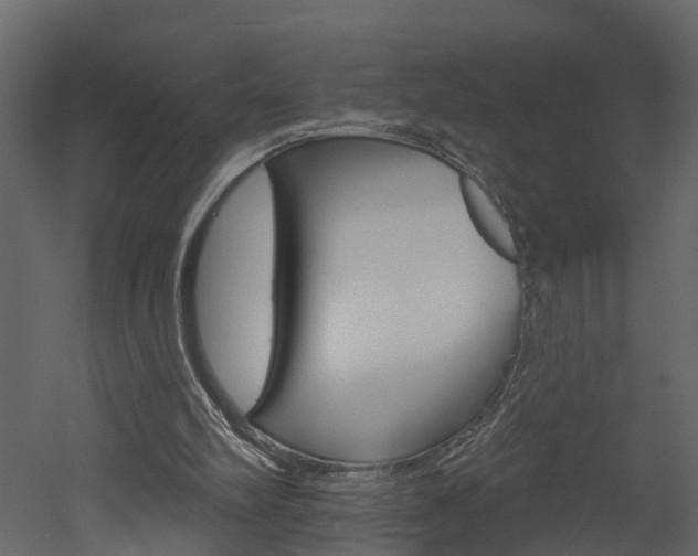 X0000052930102200507080837