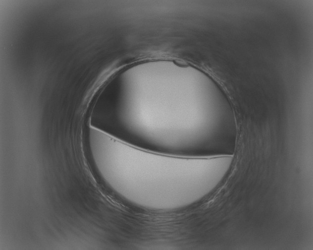 X0000052930103200507080837
