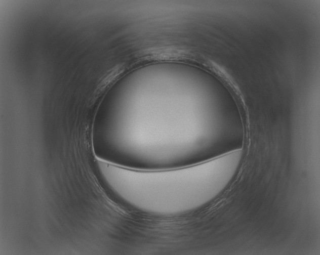 X0000052930105200507080837
