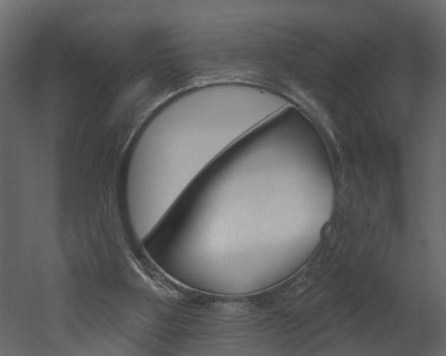 X0000052930107200507080837