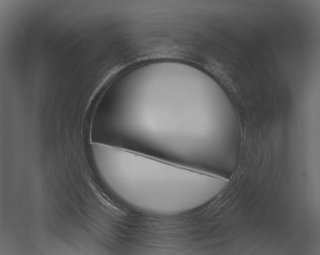 X0000052930108200507080837