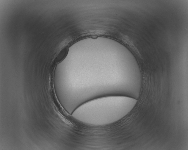 X0000052930110200507080837