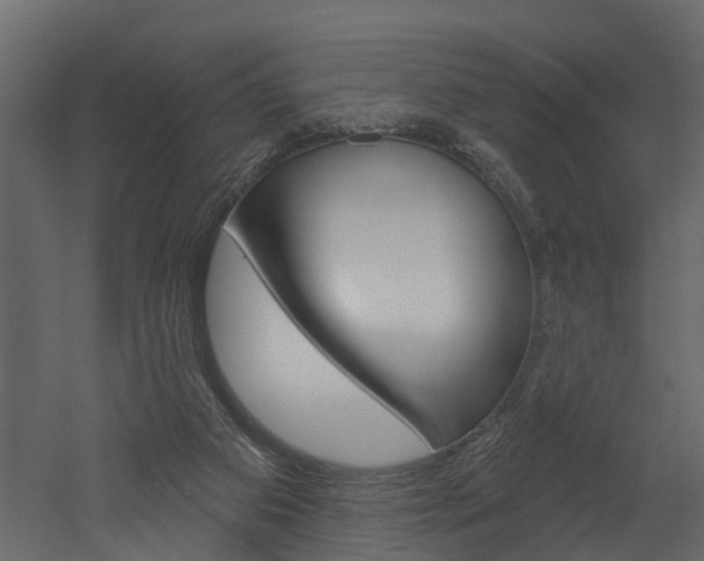 X0000052930113200507080837