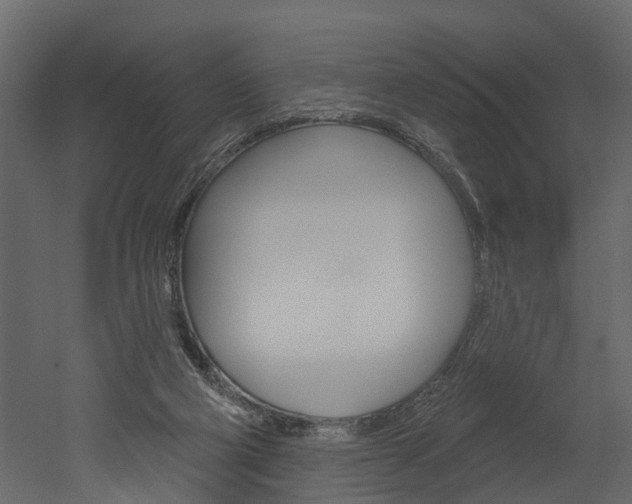 X0000052930114200507080837