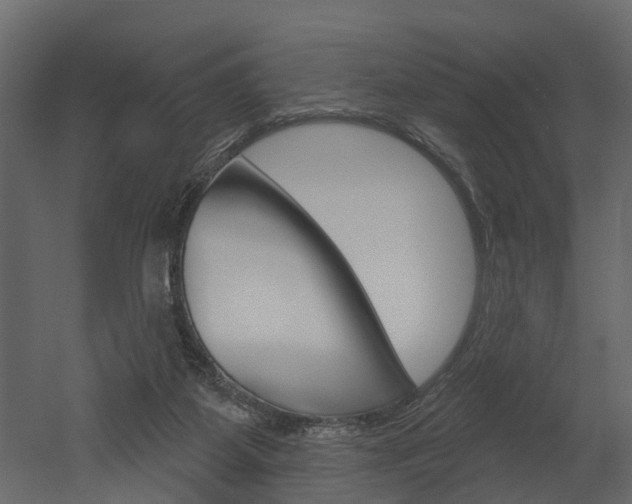 X0000052930115200507080837