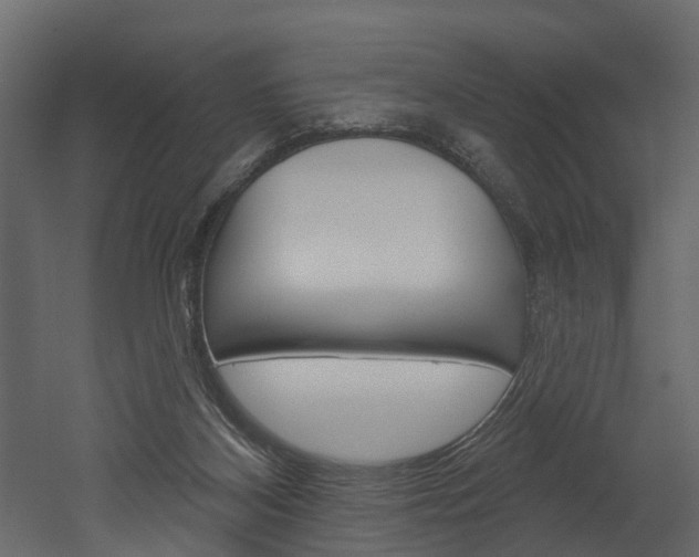 X0000052930116200507080837