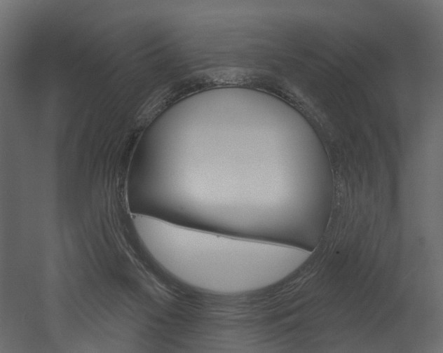 X0000052930117200507080837