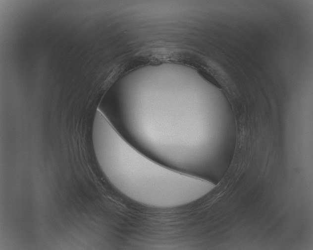 X0000052930121200507080837