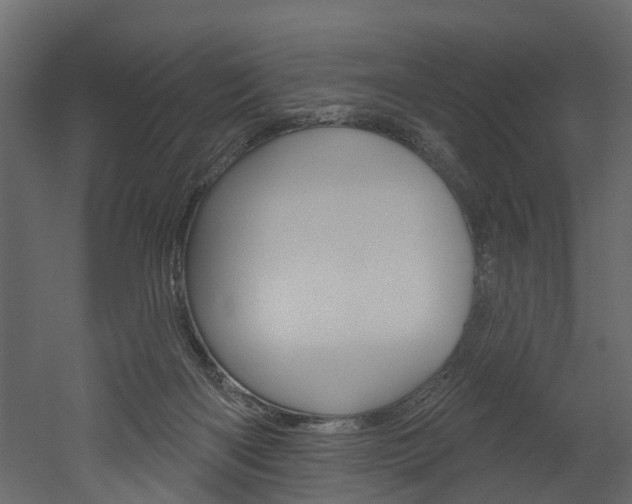 X0000052930122200507080837