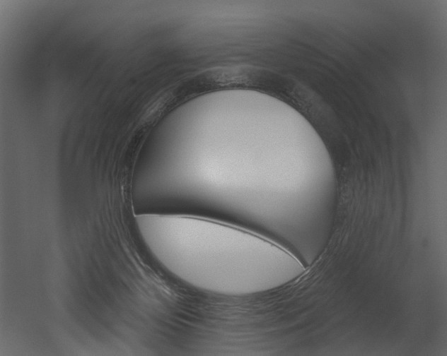 X0000052930124200507080837