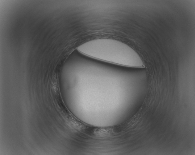 X0000052930129200507080837