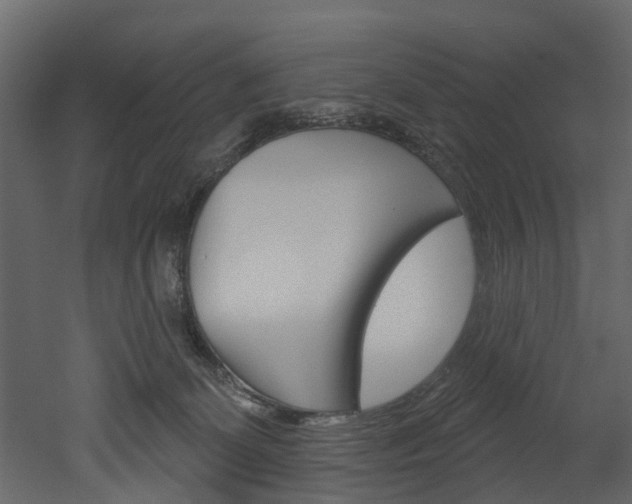 X0000052930131200507080837
